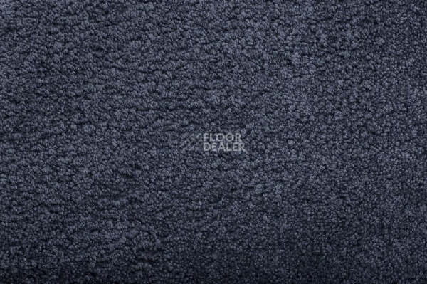 Ковролин Condor Amazing 76 фото 1 | FLOORDEALER